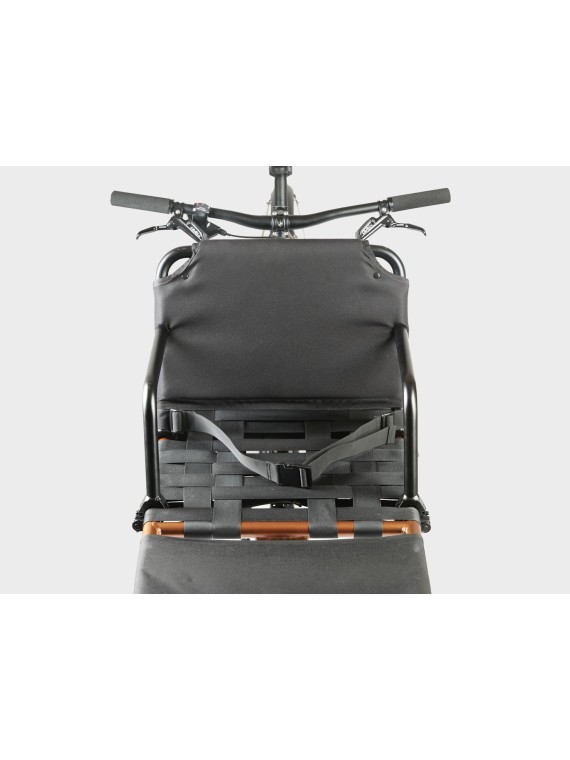 Omnium Backrest (Cargo/Mini-Max)